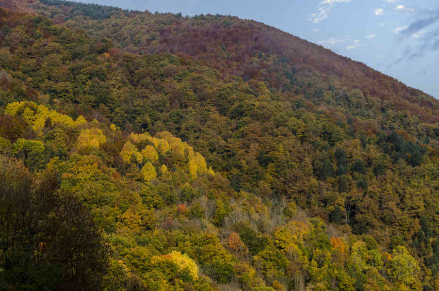 Comunidad Foral de Navarra 142 - valle de Roncal.jpg